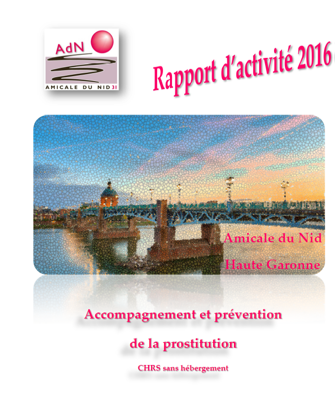 rapport dactivit 2016